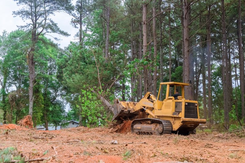 Construction Site Land Clearing in Houston, TX